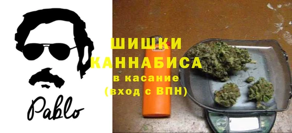 спиды Гусев