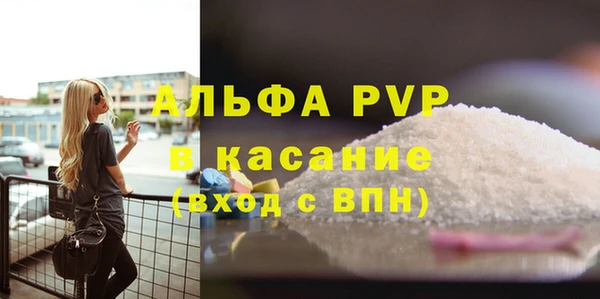 спиды Гусев