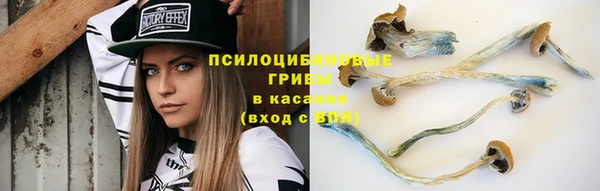 сатива Гусиноозёрск
