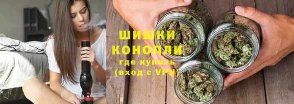 сатива Гусиноозёрск