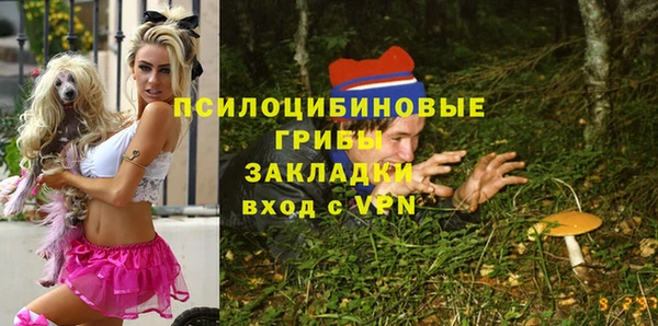 сатива Гусиноозёрск
