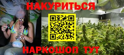 прущие грибы Камышлов