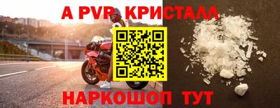 прущие грибы Камышлов