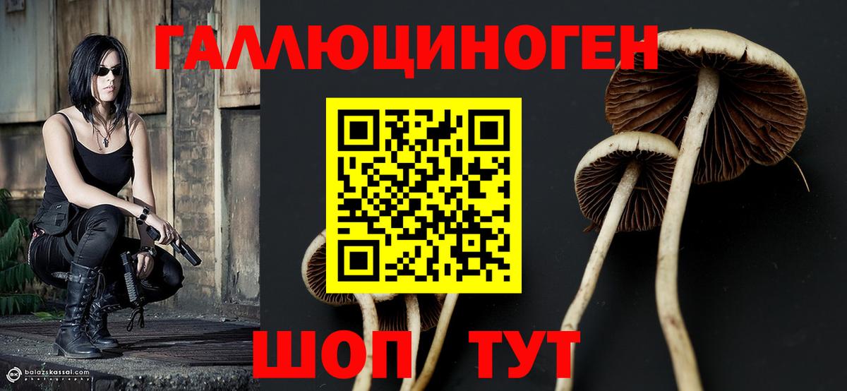 Галлюциногенные грибы ЛСД Краснодар